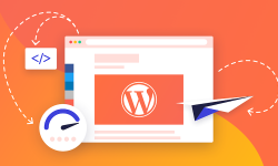 WordPress nog steeds populair!